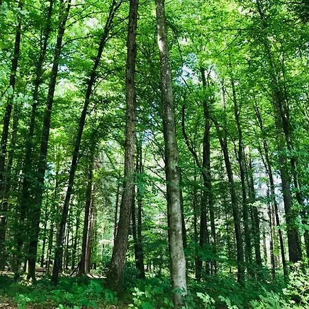 -theurbanist- * Bern