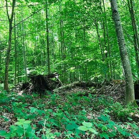 -theurbanist- 公寓 *