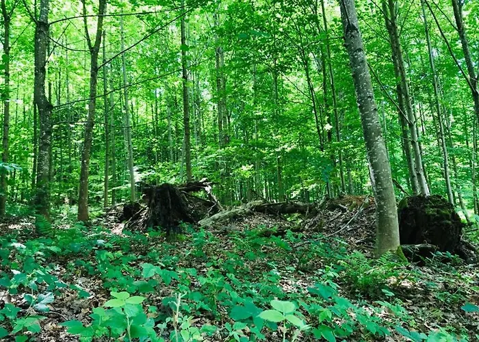 -theurbanist- Lejlighed *