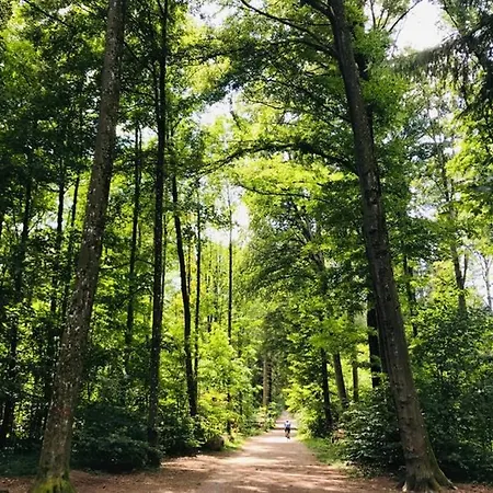 -theurbanist- Apartamento