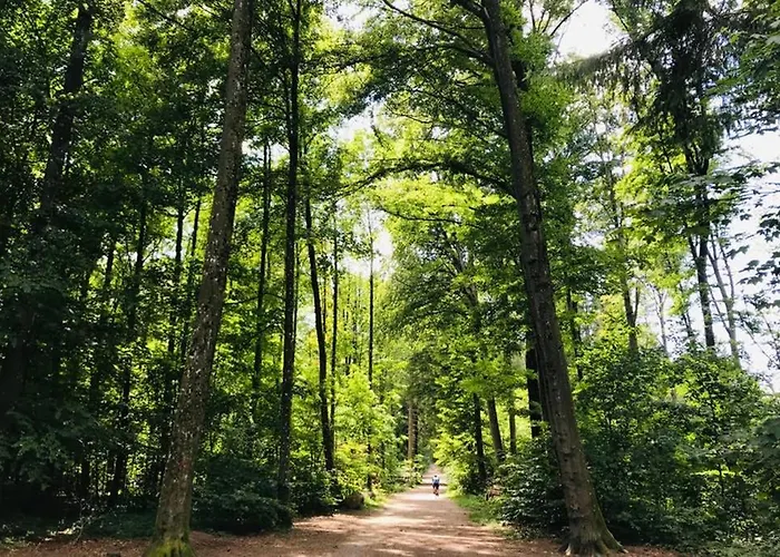 -theurbanist- Apartamento