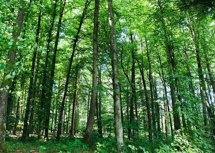 -theurbanist- * Bern